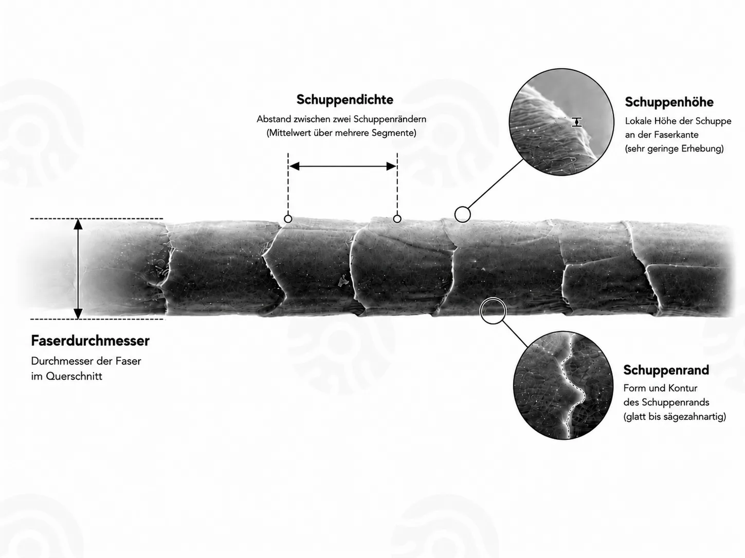 Prozess von Textilprobe zur isolierten Einzelfaser